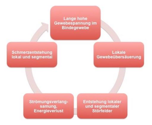 Ursachen der Schmerzentstehung - Erfolgreiche „Manuelle Schmerztherapie“